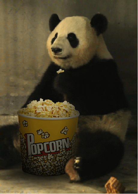 panda-popcorn-food-gif-950217